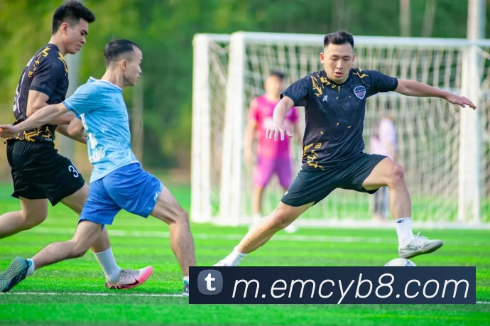 易倍体育emc平台生态图